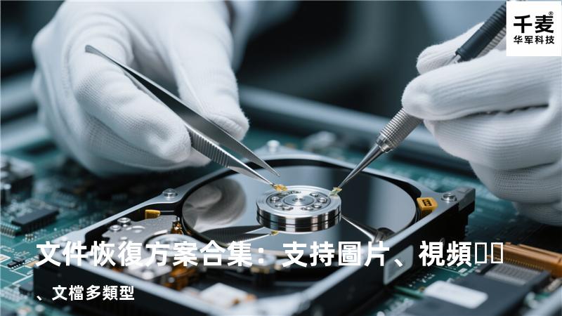 文件恢復方案合集：支持圖片、視頻、文檔多類型 